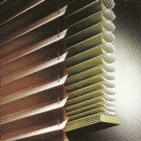 Motorized Duette and Pleated Shades