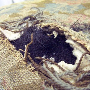 Click to Enlarge - Picture of Pig Hair